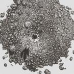 Rebecca_Gilbert_Ant_Mound