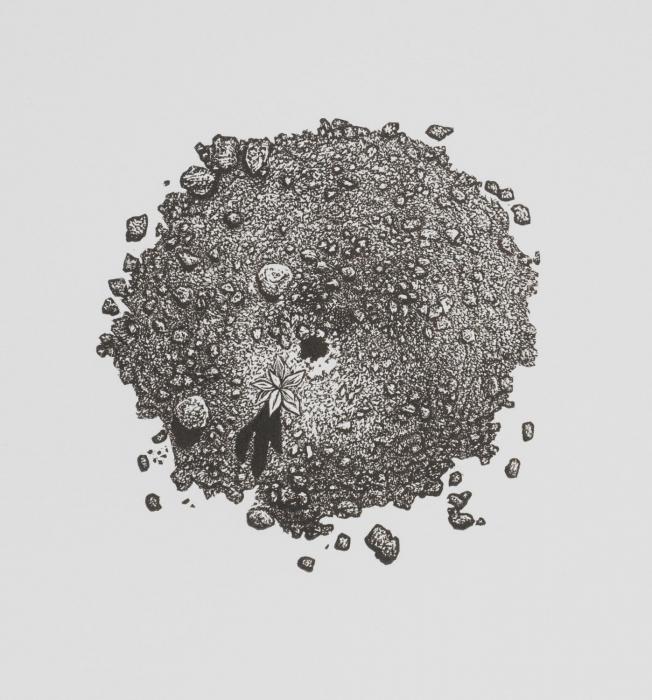 Rebecca_Gilbert_Ant_Mound