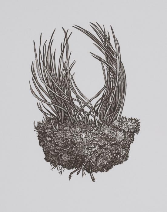 Rebecca_Gilbert_Bower