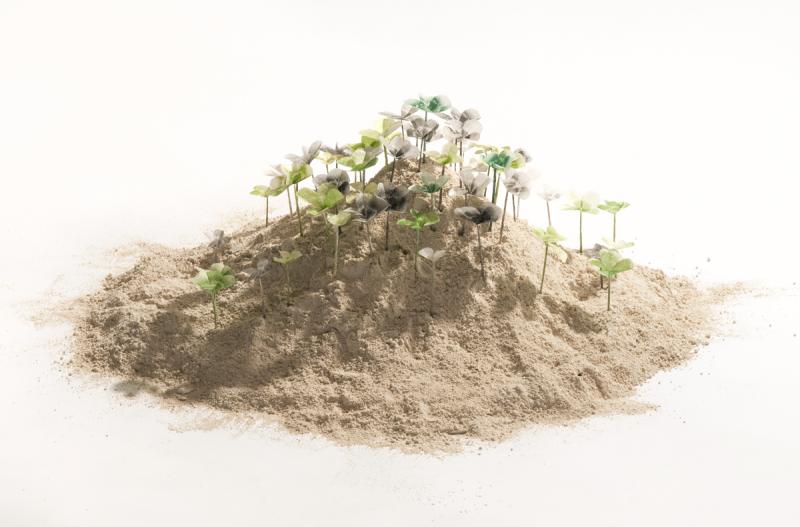 Raised Bed Fortune Patch: artwork by Rebecca Gilbert