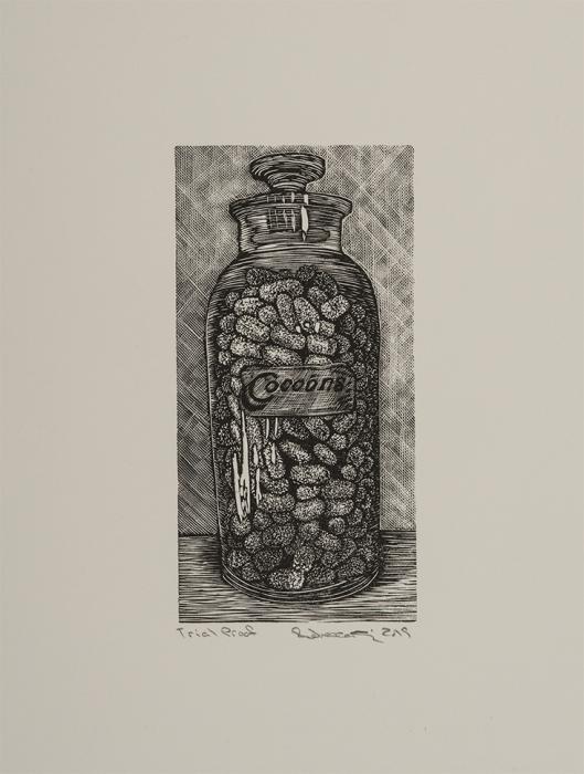 Cocoons Rebecca Gilbert