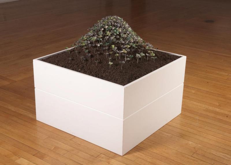 Raised Bed Fortune Patch: artwork by Rebecca Gilbert