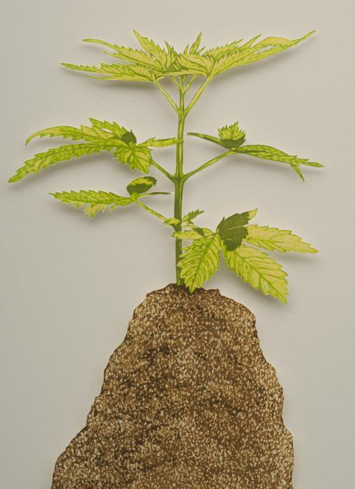 Happy Place (Weed, Dirt, Water, Fire), Detail, Rebecca Gilbert