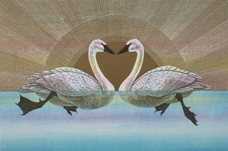 Memento Mori Swans Rebecca Gilbert