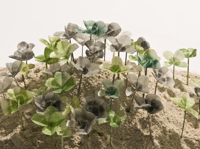 Raised Bed Fortune Patch: artwork by Rebecca Gilbert