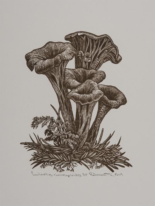 Trumpet of the Dead Rebecca Gilbert