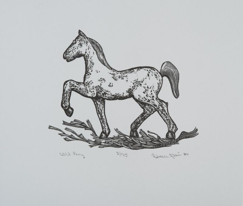 Rebecca Gilbert, Wild Pony