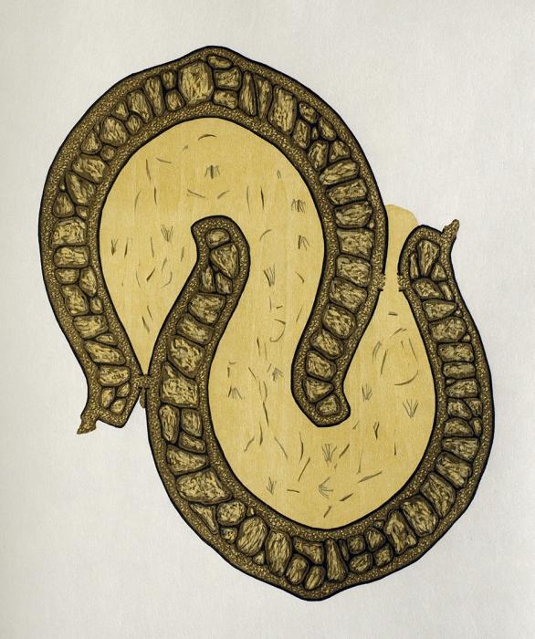 Yellow: artwork by Rebecca Gilbert